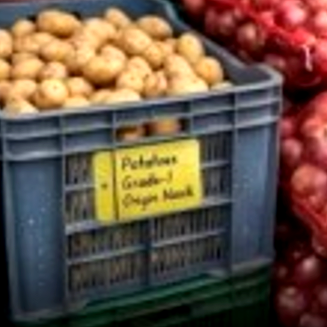 Self-laminating tag on a produce crate